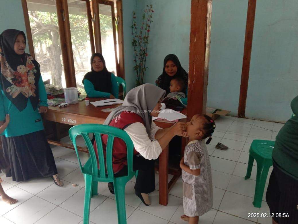 Kegiatan Posyandu 